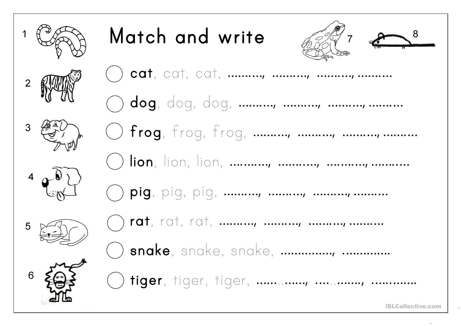 Matching, Letter Tracing, Writing - Animals - English Esl in Tracing Writing Letters Worksheet