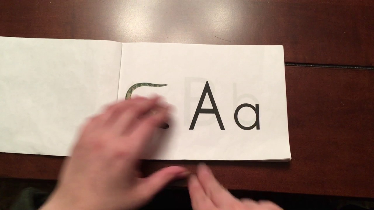 Alphabet Tracing Book