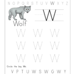 Big W Tracing Worksheet Doc .. | Tracing Worksheets Preschool