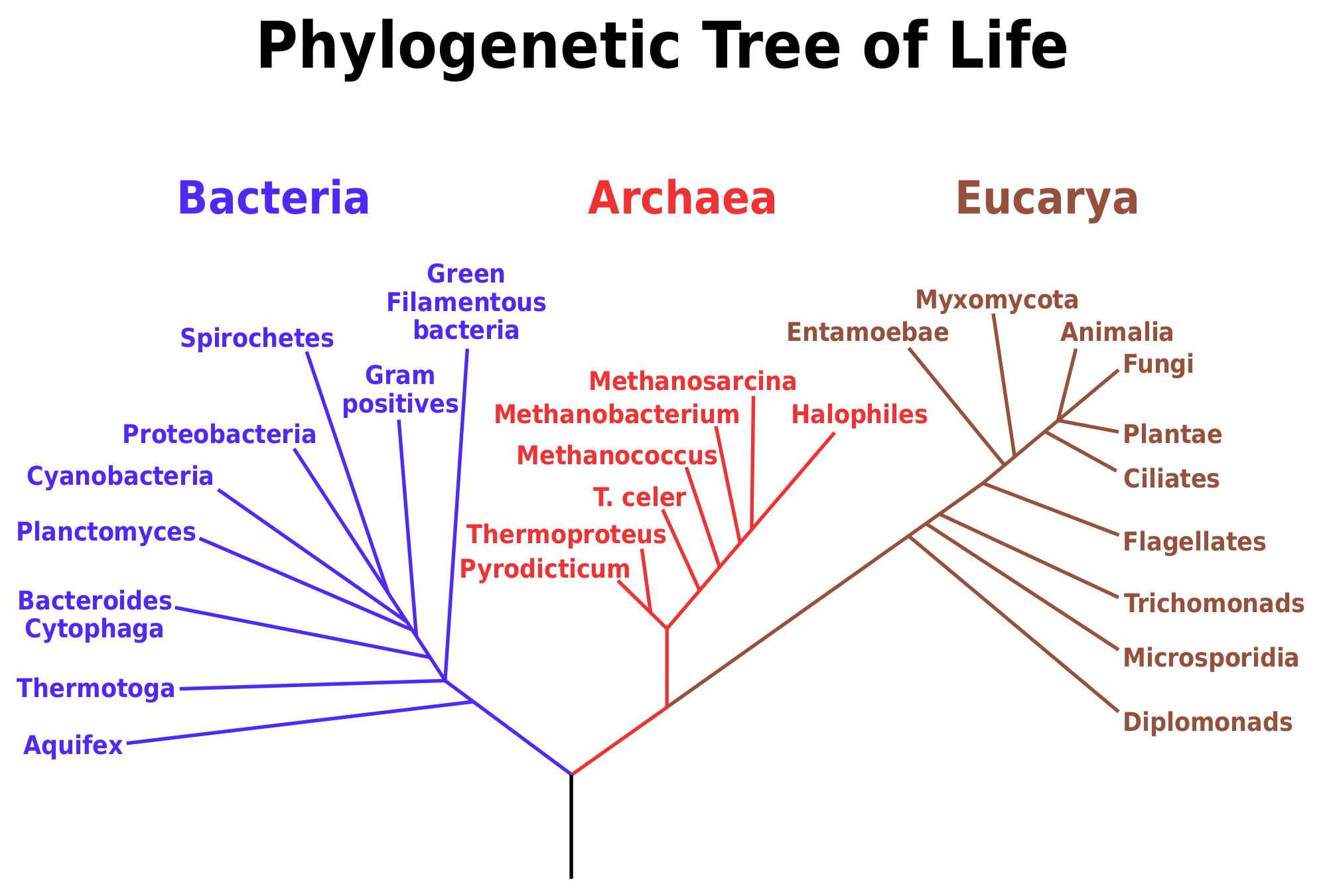 Fact Sheet: Rrna In Evolutionary Studies And Environmental