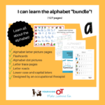 I Can Learn The Alphabet &quot;bundle&quot;!