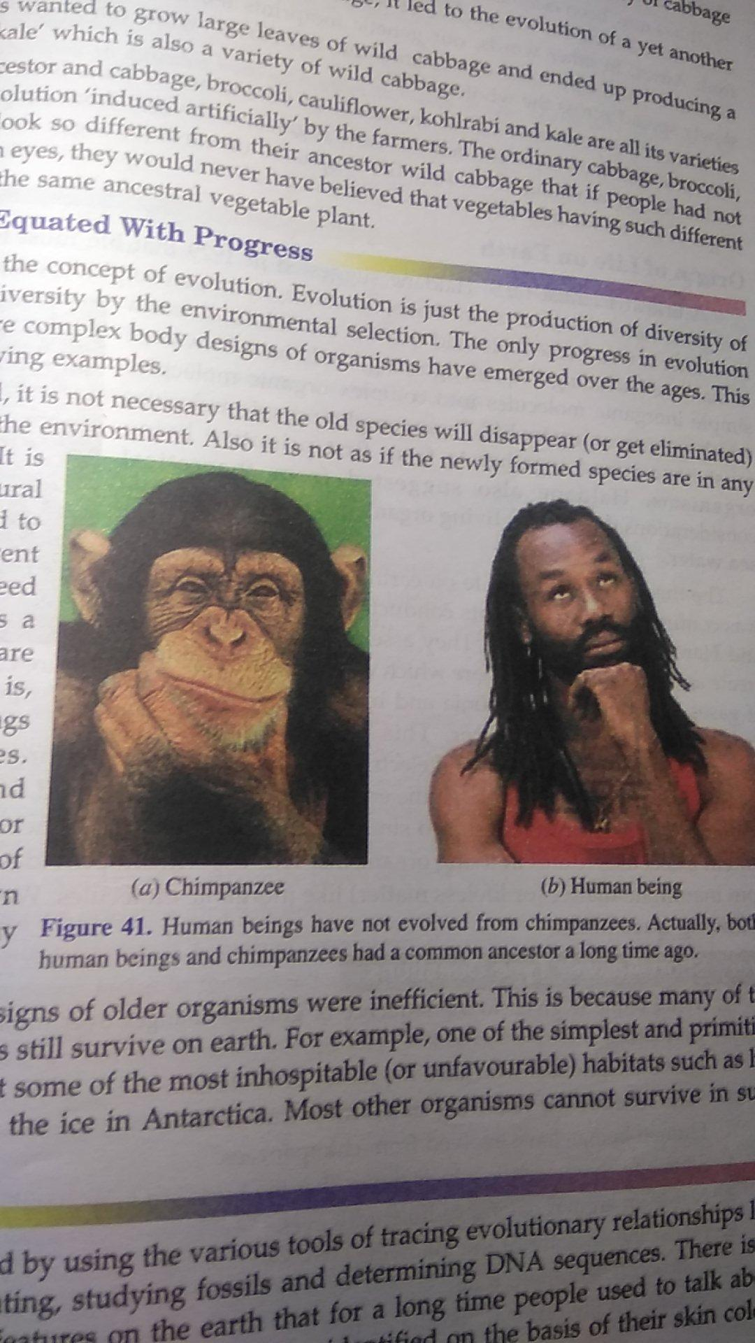 In My Science Book It Is Under The Heading &amp;#039;evolution Should