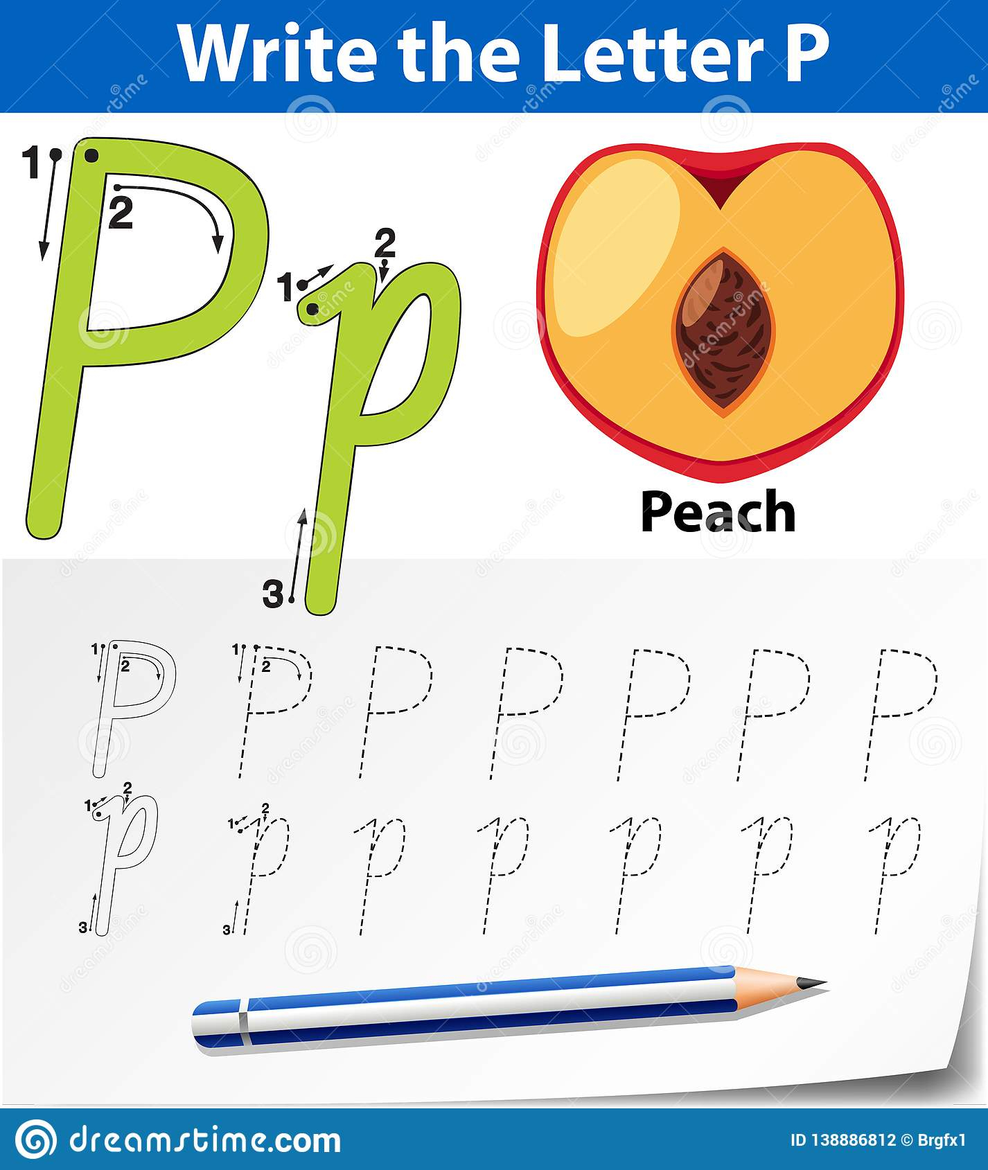 Letter P Tracing Alphabet Worksheets Stock Vector