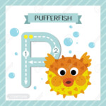 Letter P Uppercase Cute Children Colorful Zoo And Animals Abc..