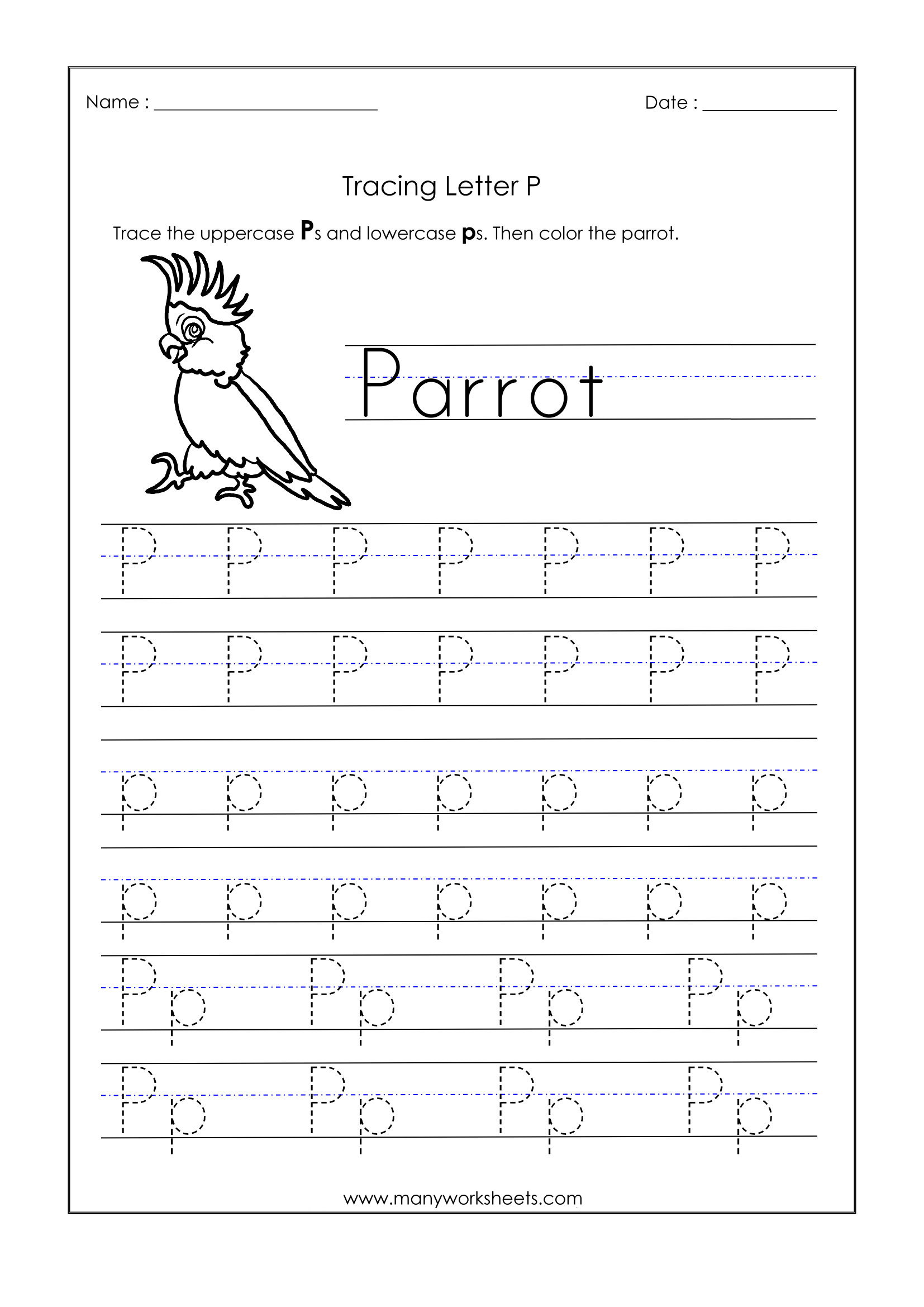Letter P Worksheets For Kindergarten – Trace Dotted Letters