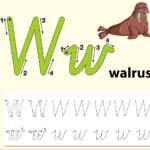 Letter W Tracing Alphabet Worksheets - Download Free Vectors