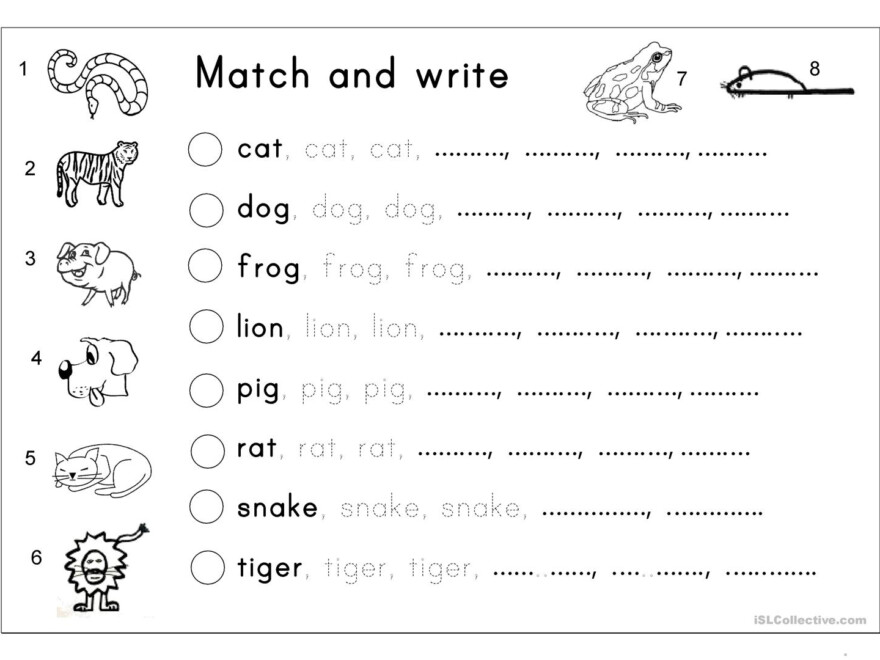 Matching, Letter Tracing, Writing - Animals - English Esl