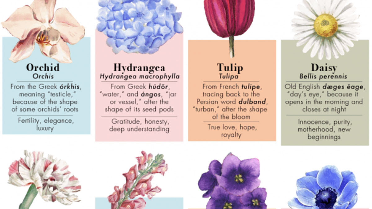 The Hidden Meanings Behind 50 Flower Names | Considerable