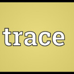 Trace Meaning