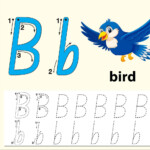 Trace The Letter B Template - Download Free Vectors, Clipart