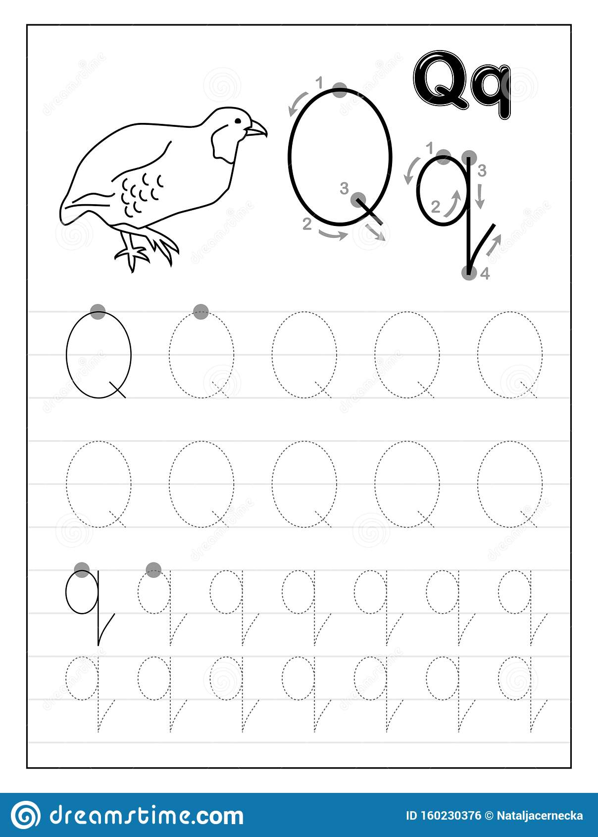 Tracing Alphabet Letter Q. Black And White Educational Pages