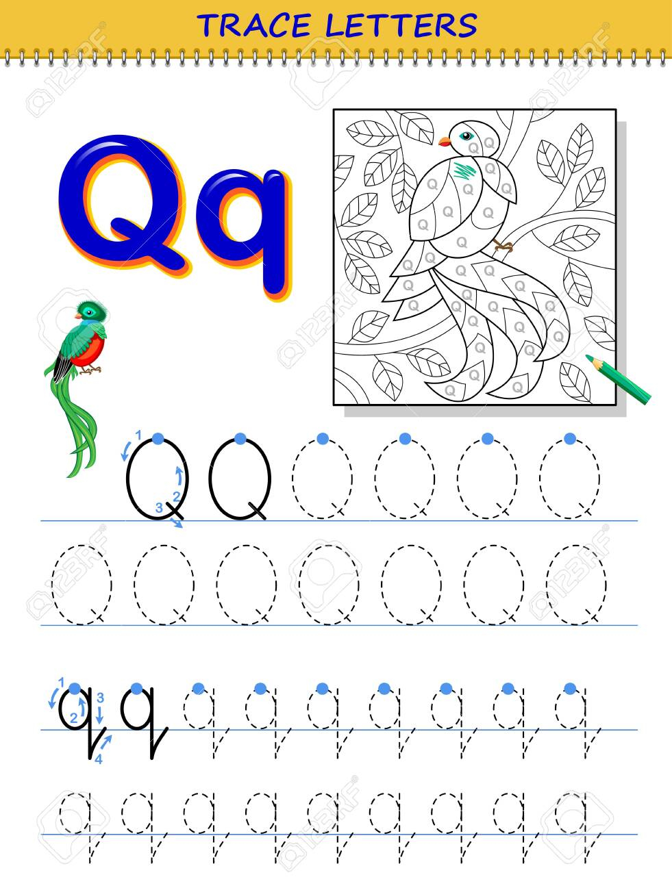 Tracing Letter Q For Study Alphabet. Printable Worksheet For..