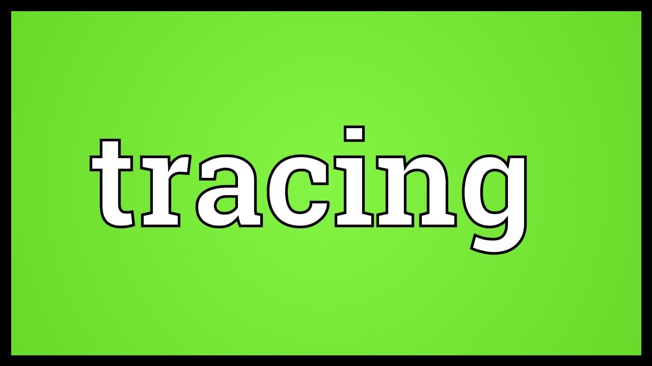 Tracing Meaning