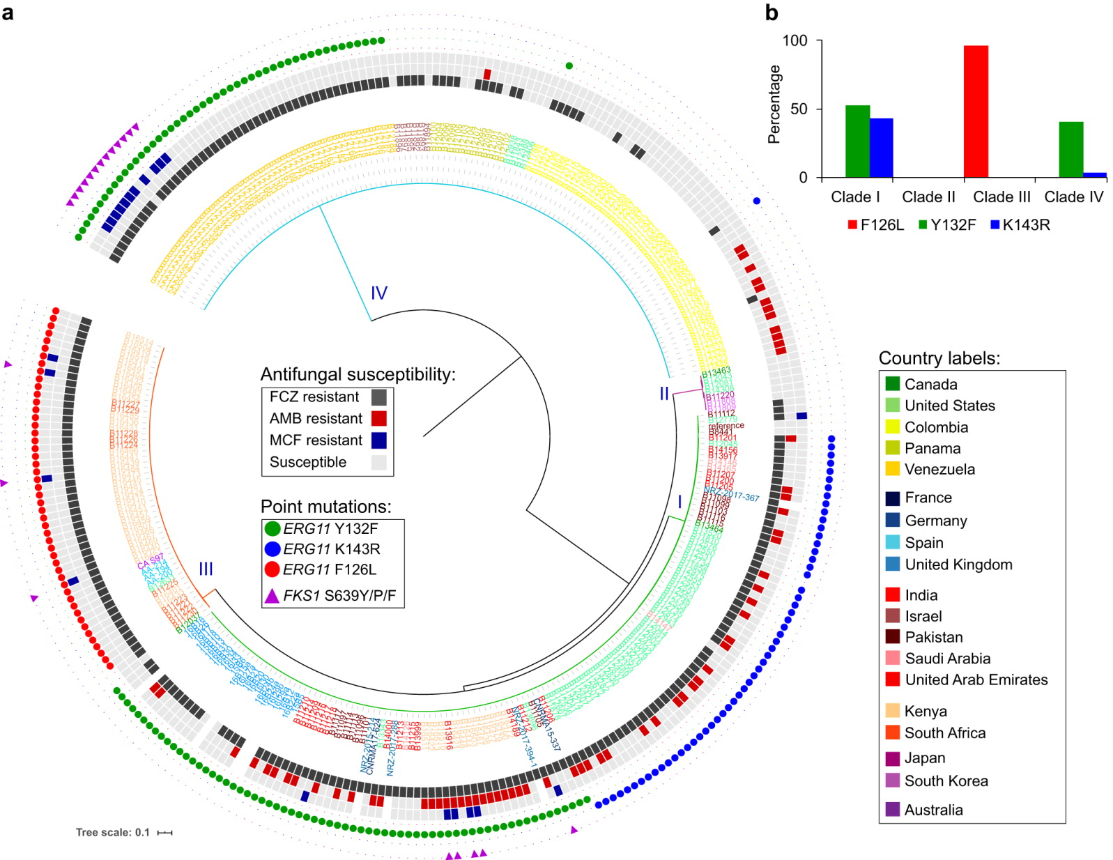 Tracing The Evolutionary History And Global Expansion Of