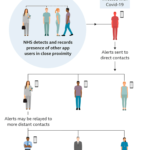 Whatever Happened To The Nhs Contact-Tracing App? - Bbc News