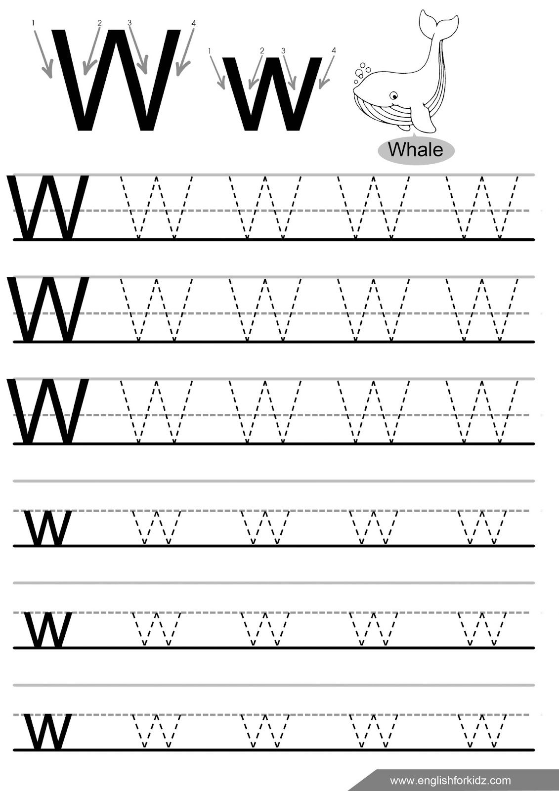 Letter W Tracing Worksheet, English Alphabet Worksheets