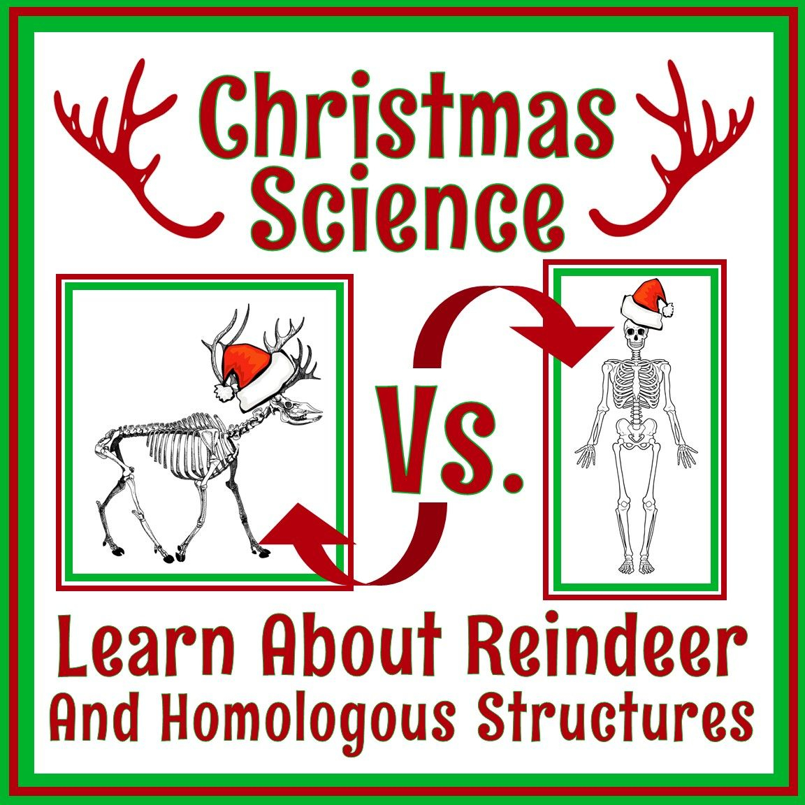 Middle School Holiday Science Worksheet | Christmas Science