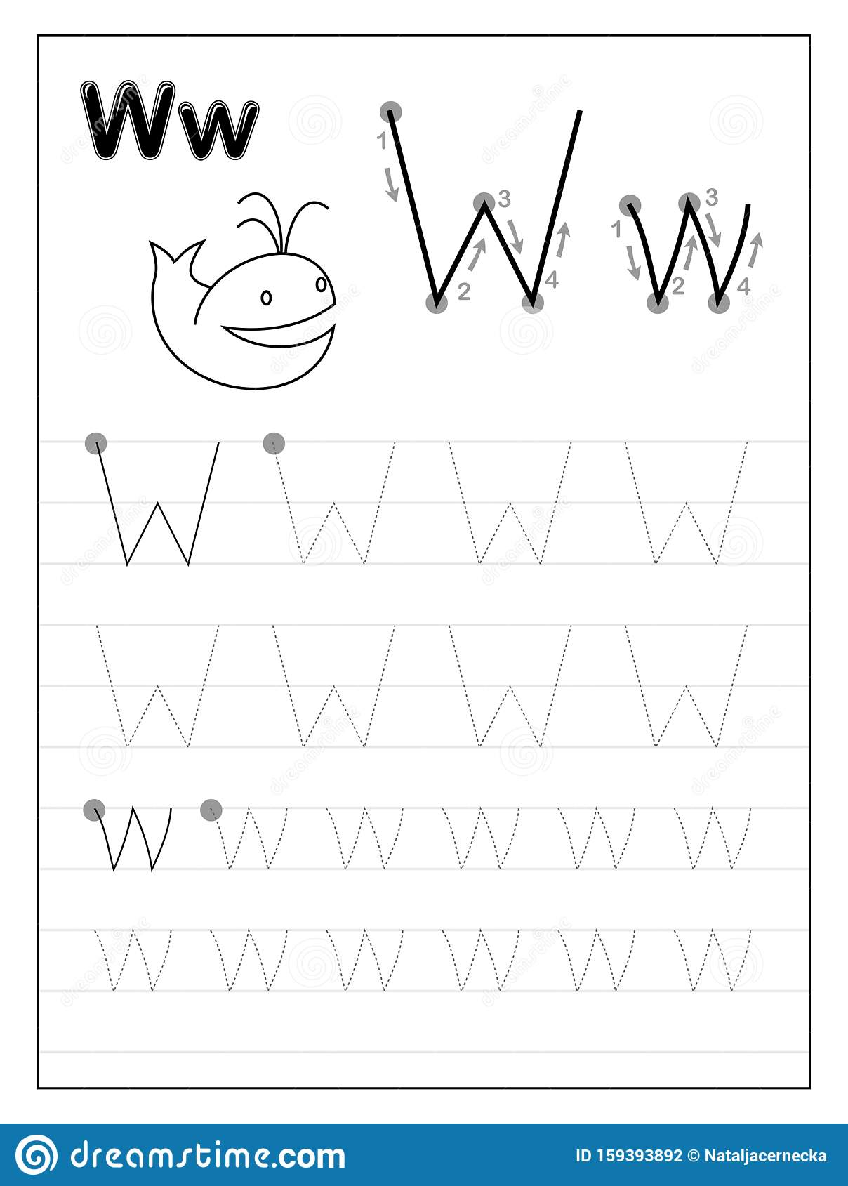 Tracing Alphabet Letter W. Black And White Educational Pages
