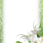 Green PNG Photo Frame With Flowers Gallery Yopriceville