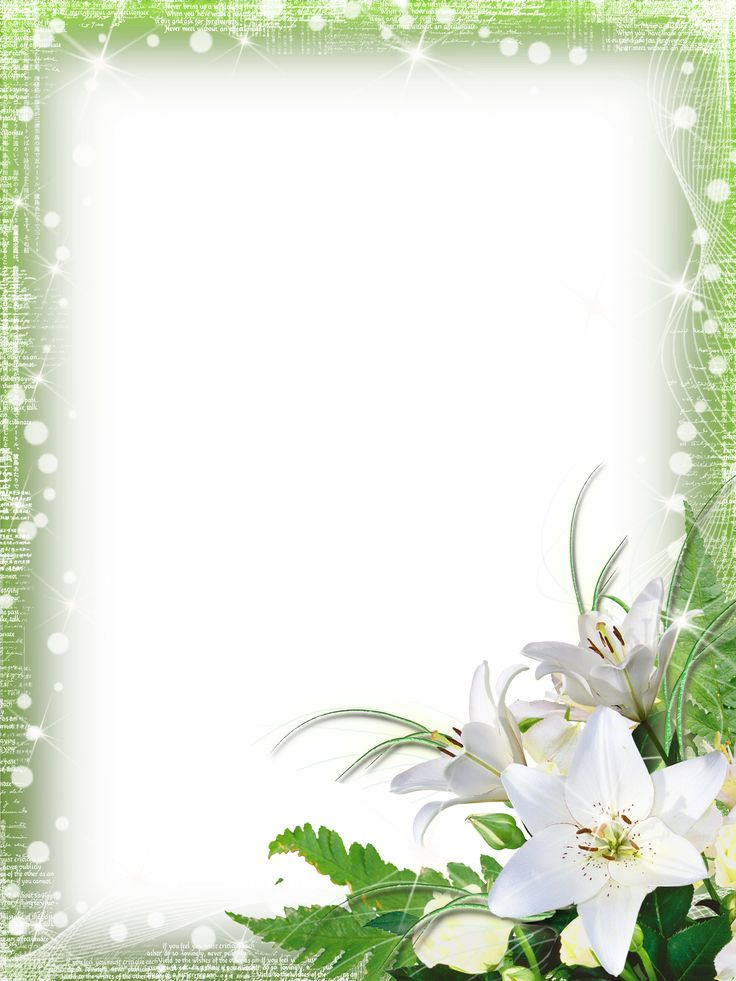Green PNG Photo Frame With Flowers Gallery Yopriceville 