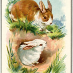Vintage Easter Bunnies Card The Graphics Fairy