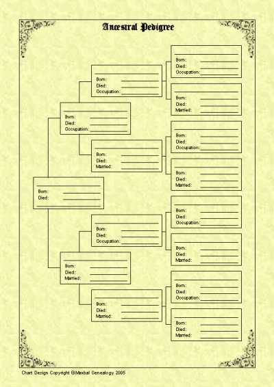 9 Generation Chart Blank Family Tree Free Family Tree 