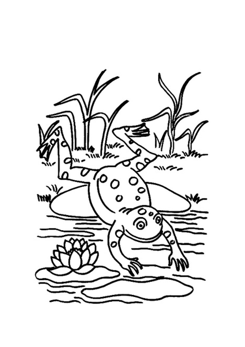Animals Birds And Insects Coloring Pages Part 6