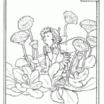 Flower Fairies Coloring Pages Coloring Home