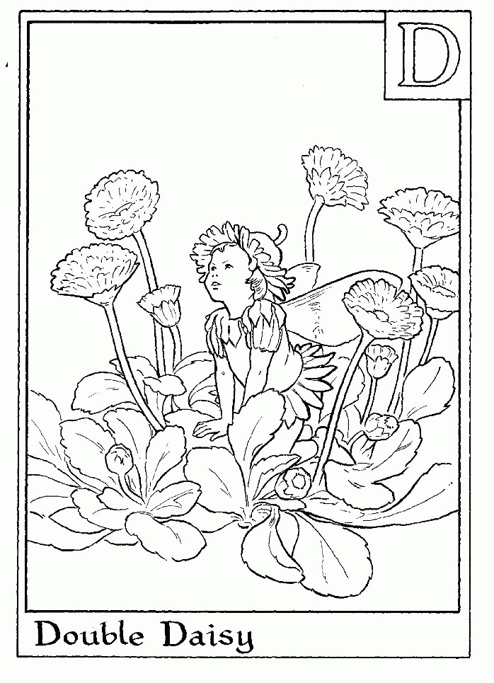 Flower Fairies Coloring Pages Coloring Home