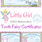 Free Printable Tooth Fairy Certificates Tooth Fairy