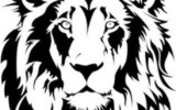Lion Face Reuseable 190 Micron Mylar Stencil A5 A4