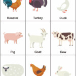 Preschool Farm Animal Flash Cards In 2020 Animal