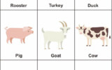 Preschool Farm Animal Flash Cards In 2020 Animal