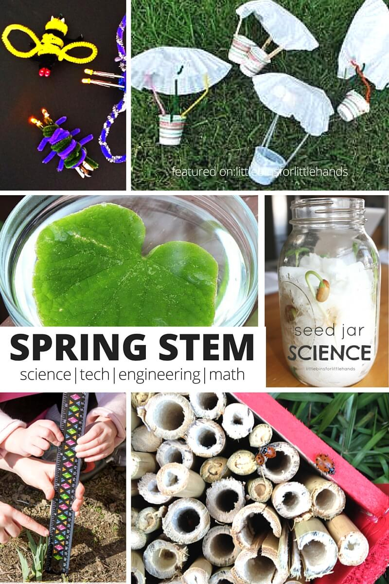 Seasonal Science Experiments And Seasonal STEM Activities 