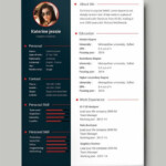 What Is A CV Template