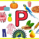 Letter P Things That Begins With Alphabet P words Starts