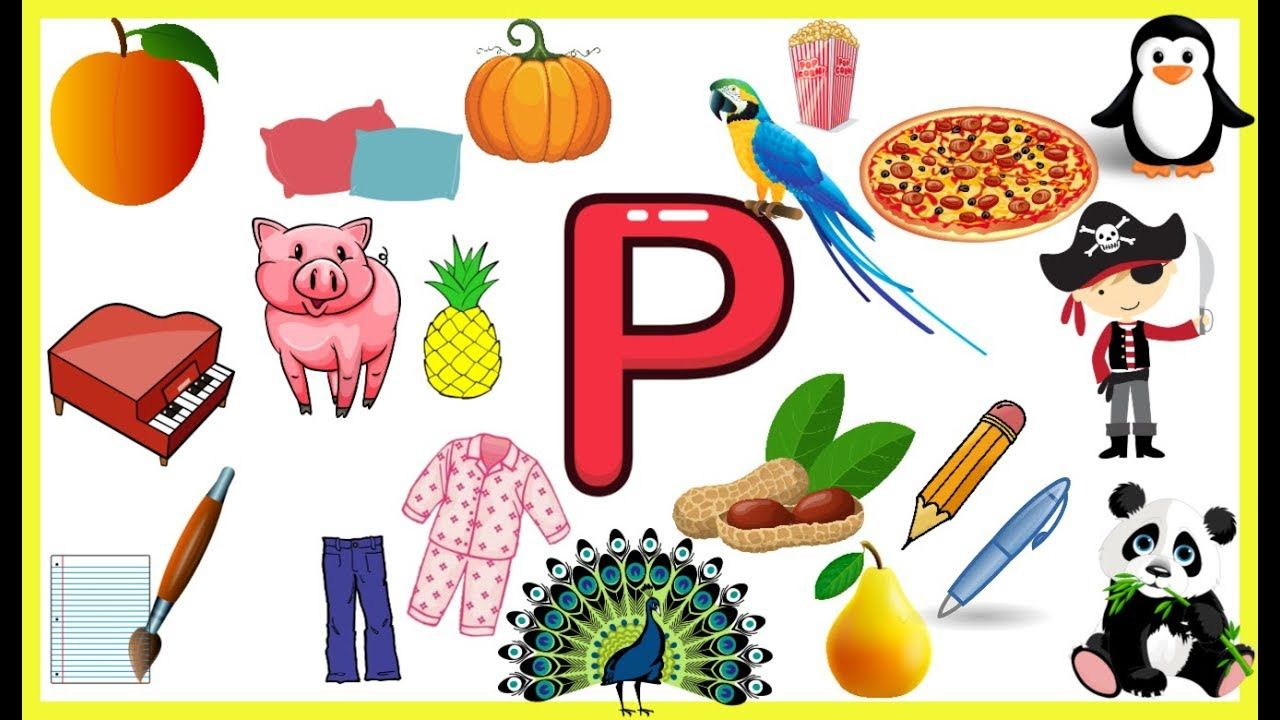 Letter P Things That Begins With Alphabet P words Starts 