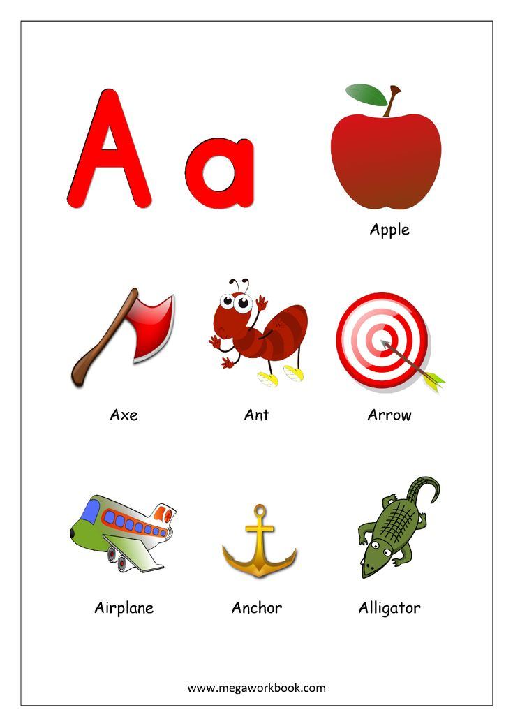 Objects Starting With Alphabet A