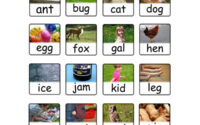 Printable Preschool Three Letter Words With Photos And