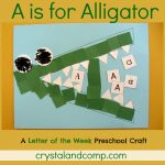 Letter Of The Week A Is For Alligator
